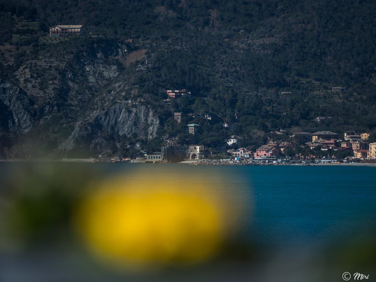La Torretta dei Merli with Views Vernazza Esterno foto